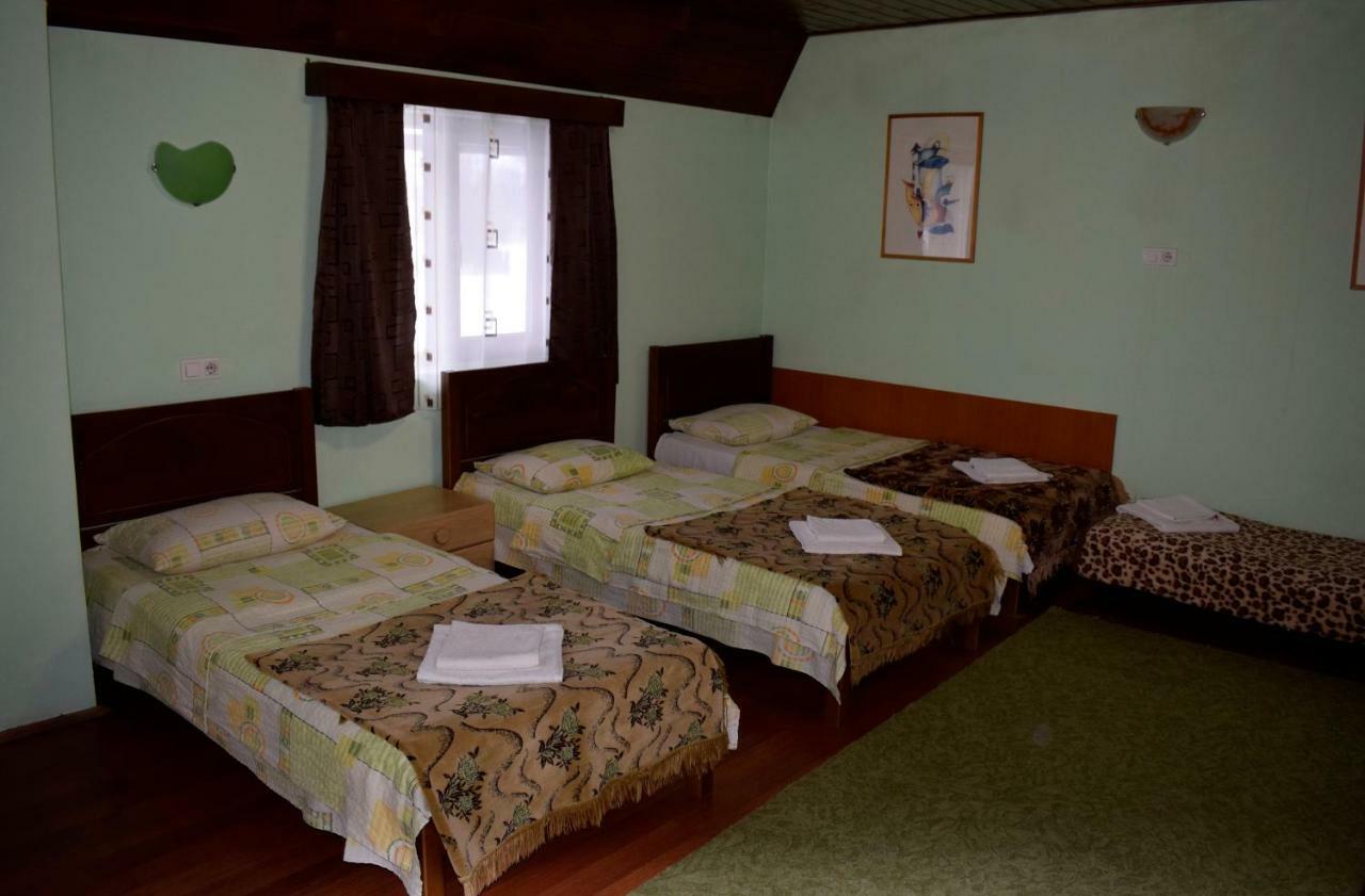 Pensiunea Aurica Tîrgu Lăpuş Esterno foto