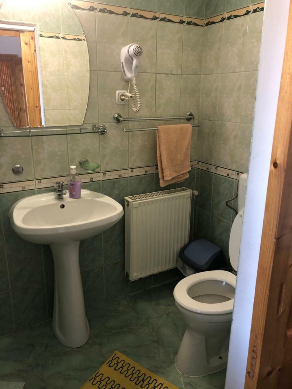 Pensiunea Aurica Tîrgu Lăpuş Esterno foto